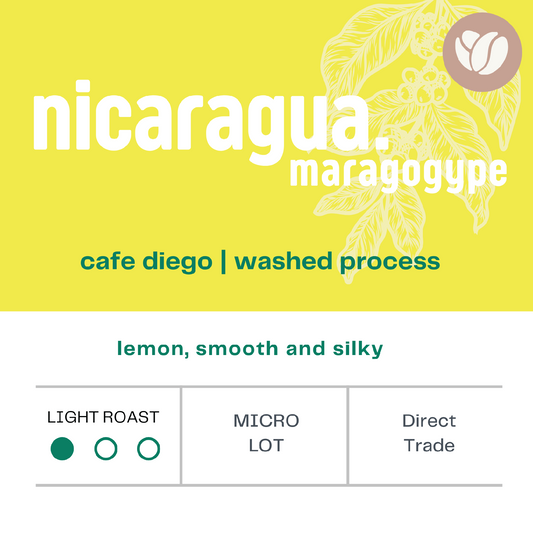 Nicaragua Maragogype